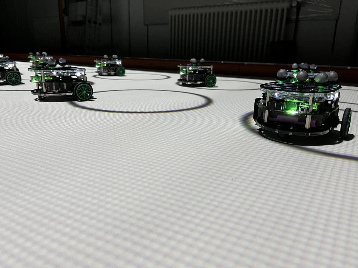 Swarm Robotics