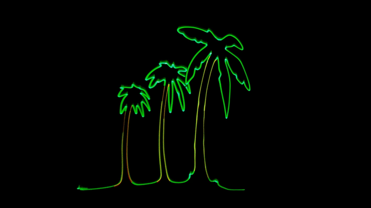 Palmtrees scanned at 27kpps